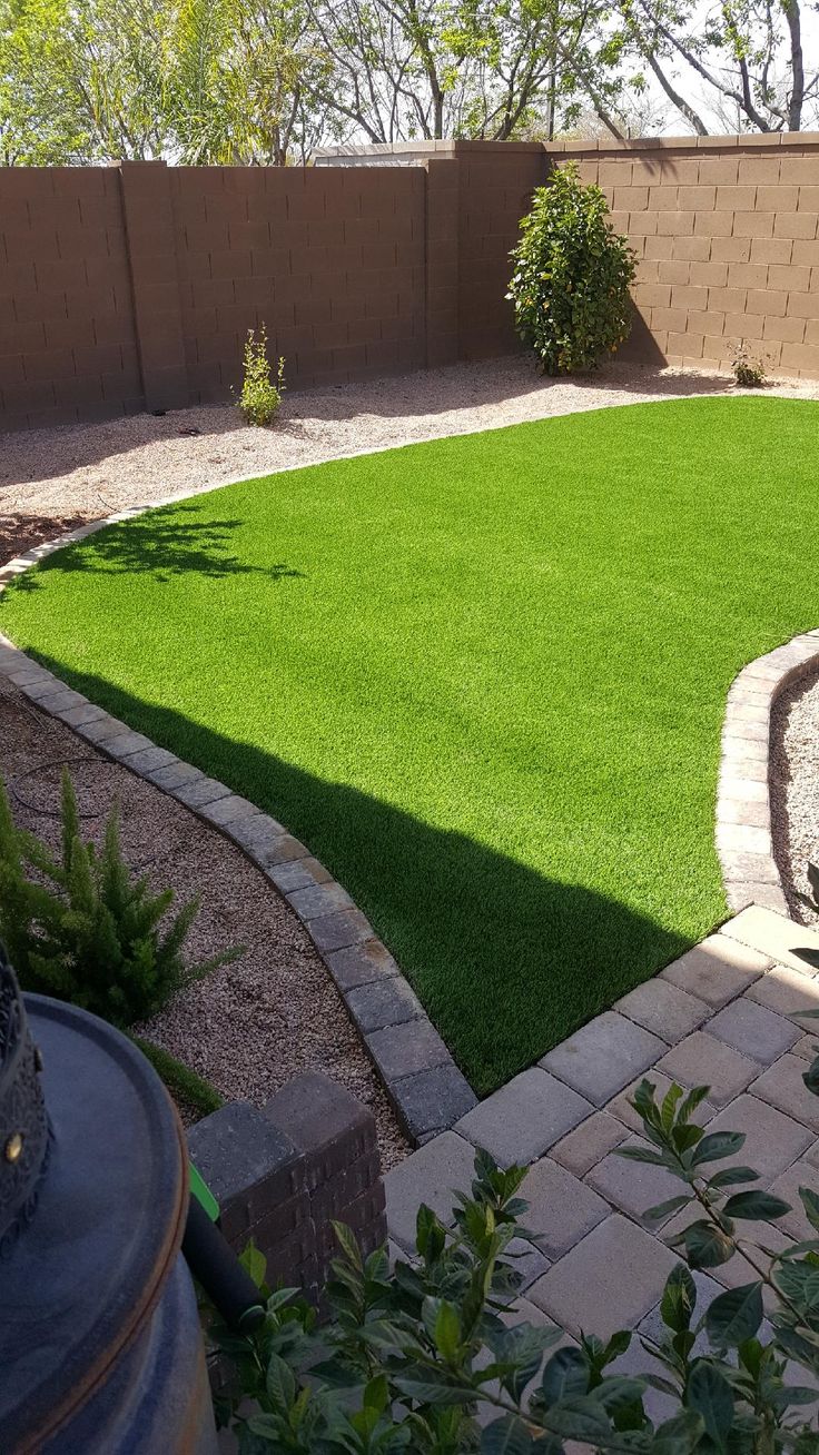 Pet-friendly turf Buckeye AZ